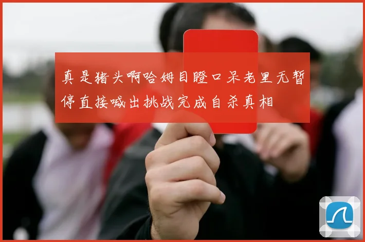 真是猪头啊哈姆目瞪口呆老里无暂停直接喊出挑战完成自杀真相