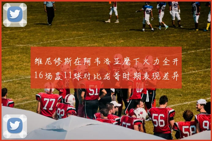 维尼修斯在阿韦洛亚麾下火力全开16场轰11球对比龙哥时期表现差异明显