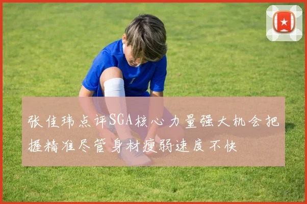 张佳玮点评SGA核心力量强大机会把握精准尽管身材瘦弱速度不快